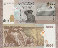 СИРИЯ 5000 ФУНТОВ 2024 ГОДА